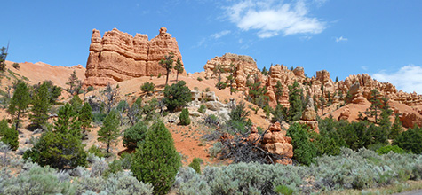 Bryce Canyon